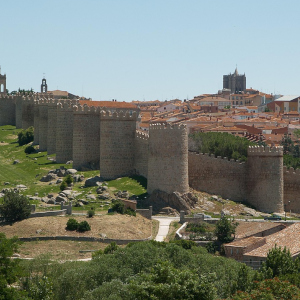 Buscar Esquelas Ávila