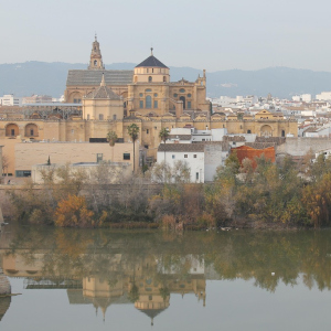 Buscar Esquelas Córdoba